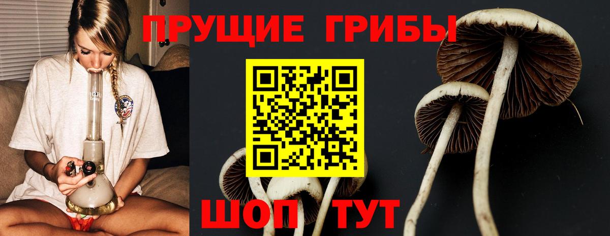 Псилоцибиновые грибы Magic Shrooms  Вход с VPN  Псилоцибиновые грибы Magic Shrooms  Избербаш 